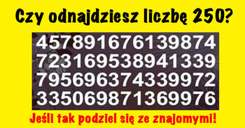 czy-odnajdziesz-liczbe-250