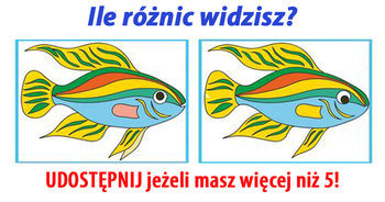 ile-widzisz-roznic