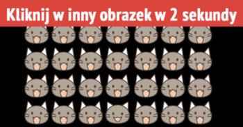 95-ludzi-nie-zda-tego-testu