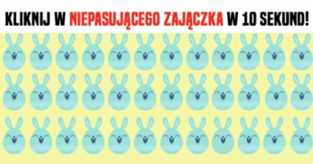 kliknij-w-niepasujacego-swiatecznego-zajaczka