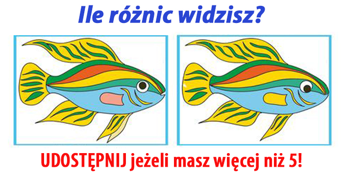 ile-widzisz-roznic