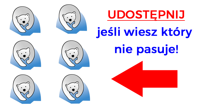 ktory-mis-nie-pasuje-riddle